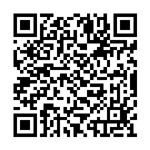 我现在踩动这个踏板能让滑翔机直接飞到天上吗二维码生成