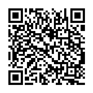 我理想中的新中单应该具有强大的游走和支援能力二维码生成