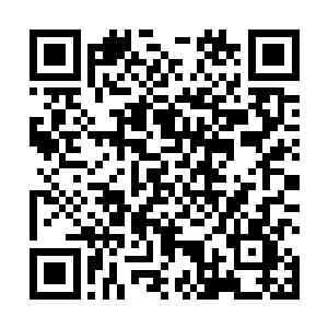 我理解萨尔维可能要求你在拍摄期间绝对的专注和投入二维码生成