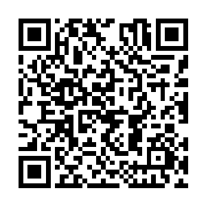 我甚至不得不怀疑他们可能拿了道劫是要报复我的二维码生成