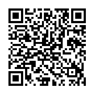 我甚至将之前那一门吞噬了一小半的九叶仙草也吞入腹中二维码生成