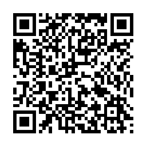 我甚至已经没有办法感觉到自己是否还在被鬼面蛇啃咬二维码生成