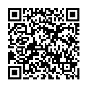 我甚至怀疑他会和梅尔一样逐渐变疯――当你惧怕绝望二维码生成