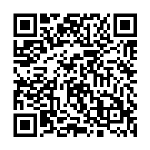 我甚至能感到体内的灵气修为都比平时浓厚了不少呢二维码生成