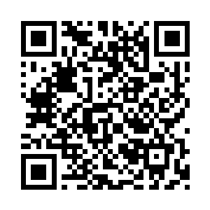 我生怕那些纸人的术法会被柳娃子给破开了二维码生成