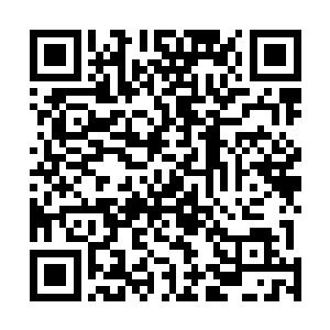 我的亲爹老娘舅我不过就是闲的无聊就作弄一下那臭丫头二维码生成