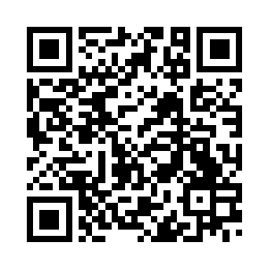 我的修为终究只有结丹初期的境界二维码生成