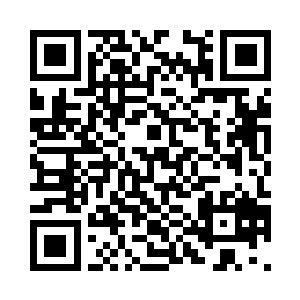 我的做人原则就是人不犯我我不犯人二维码生成