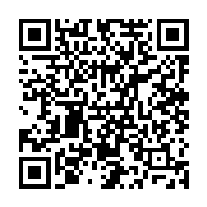 我的处境正越来越危险……能不能撑到下一次也难说了二维码生成