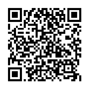 我的家族企业为菲律宾的经济做出了很大的贡献二维码生成