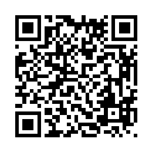 我的小宝可是连凰都不怕的神兽呢二维码生成