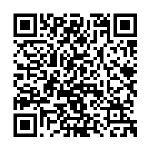 我的影子里居然还藏着一个……一个什么东西啊二维码生成