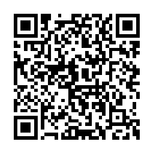 我的想法是可以让绝大多数的骑士都能消费得起二维码生成