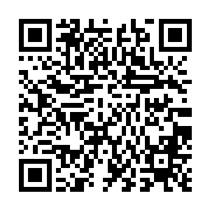 我的意思……我的意思……我就是想请叶君主再宽限几日二维码生成