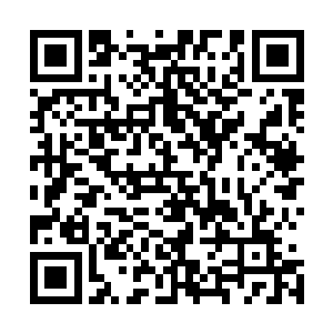 我的意思只是说……地球人当中终于出了一名厉害的角色了二维码生成