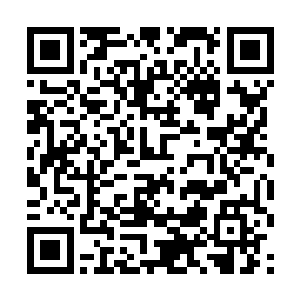 我的格局已经决定了我是有可能成为三界领袖的存在二维码生成