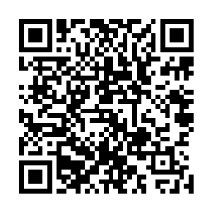 我的灵识已经快成瞎子了……下面到底有什么可怕的东西啊二维码生成