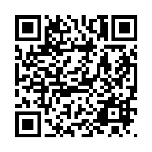 我的生命形态和血肉细胞组成的碳基人类不同二维码生成