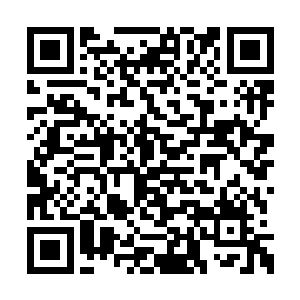 我的精神力问询并没有得到青龙精魄的即时回应二维码生成