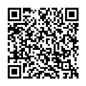 我的那辆古兰修……就先借你们拿回去研究下吧二维码生成