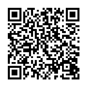 我的面前出现上一届一统三界者制定的三界律条二维码生成