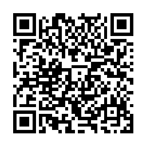 我直接将南方蒸汽军北上支援的指挥官介绍给你们二维码生成