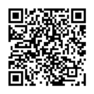 我直接把手中的布包递给了澹台璃让他保管离开时候再给我二维码生成