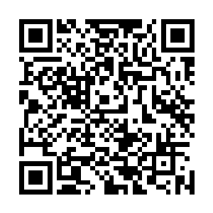 我相信她不会看着我被其他人干掉……至少不会她报仇之前二维码生成