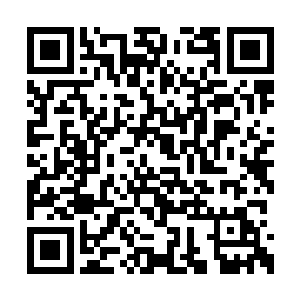 我看你们一辈子可能也只是互相传递几张画而已二维码生成