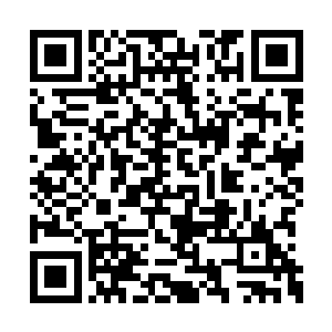 我看你怎么面对接踵而至的四大选帝侯家族援军二维码生成