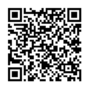 我看你是班级的学习委员我才没直接上报教导主任那边二维码生成