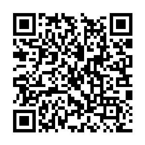 我看你还是将自己从这件事情当中撇清比较好……二维码生成