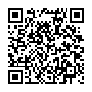 我看到了他们对那些警卫还有实验室成员的怨恨二维码生成