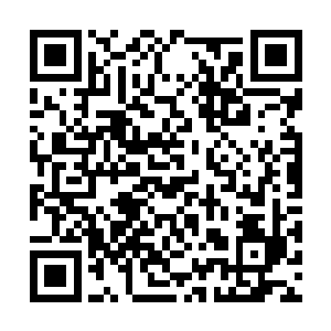 我看到了楚轻舞和秦莹莹的脸上出现了绝望的表情二维码生成