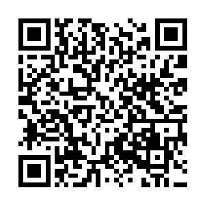 我看到正在用餐的jesse的脸部朝着我们这边侧了一下二维码生成