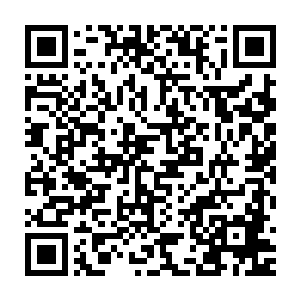 我看到那红衣中年男子双手已经在那大阵结界的压迫之下血水飞溅二维码生成