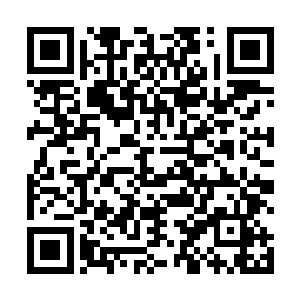 我看我们也要在这里修炼至九重天的境界才能往上走了二维码生成