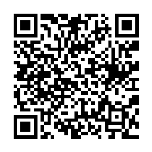 我看我们十六家族出来的张彦召也不见得比七大亲传弟子差二维码生成