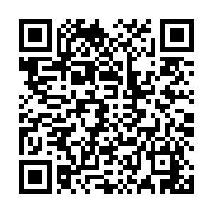 我看着一位少女是怎么坚强不屈地在命运的考验下挣扎二维码生成