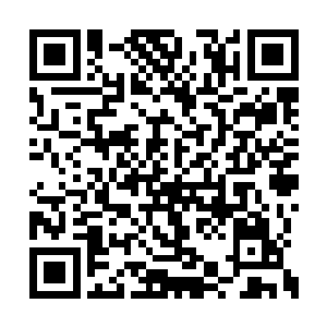 我看着坐在姥爷对面用水果刀削着苹果的许美金二维码生成