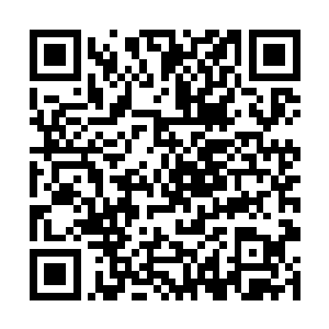 我看着婉柔姐这么威武的千年鬼差都说着说着脸红了二维码生成