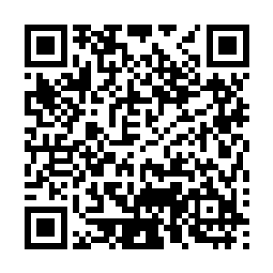 我看着那些血似乎顺着有着一条固定的路线下般慢慢的流动二维码生成