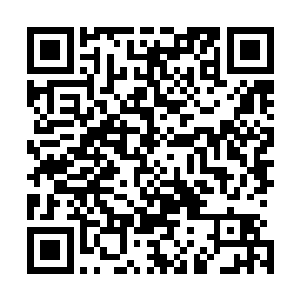 我看过丰州地委关于解决千部集资问题和地区工行贷款问题二维码生成