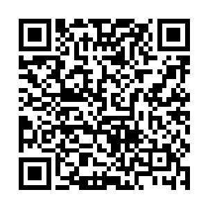 我真不知道魏厨子知道大红同时出现在八个人春梦里二维码生成