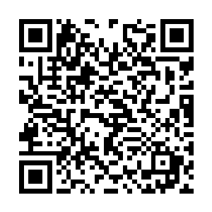 我真的不明白为什么安家人的目光集中在你的身上二维码生成