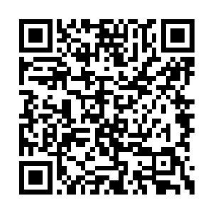 我真的不知道该用什么方法来表达我对你的敬意二维码生成