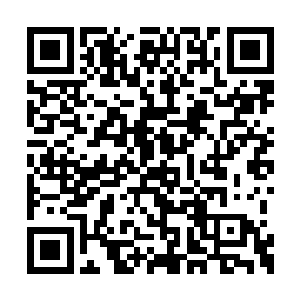 我真的很好奇你怎么会与一头五爪金龙相安无事二维码生成