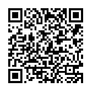 我知道他们也在东京这一片……但是问题不在这里吧二维码生成