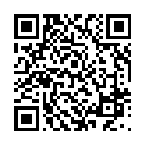 我知道我的同伴一定不会让你得手的二维码生成