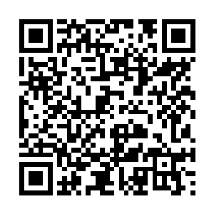 我知道祖龙也不会因为某位我所重视的生灵而出现二维码生成